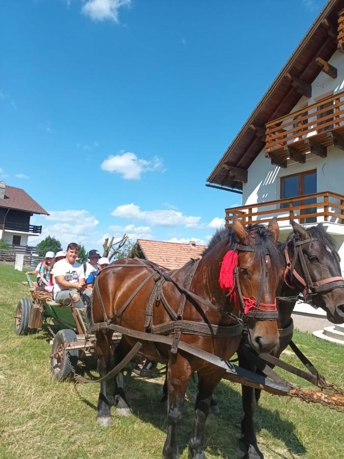 Casa Calea Haiducilor Sohodol  Buitenkant foto