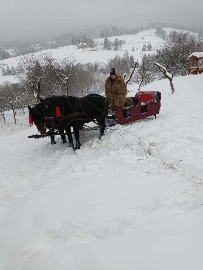 Casa Calea Haiducilor Sohodol  Buitenkant foto